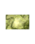 Art Card D
