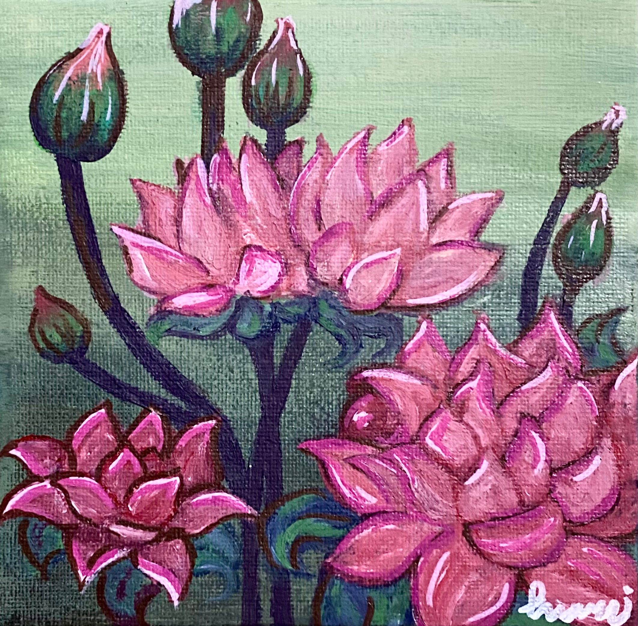 Lotus
