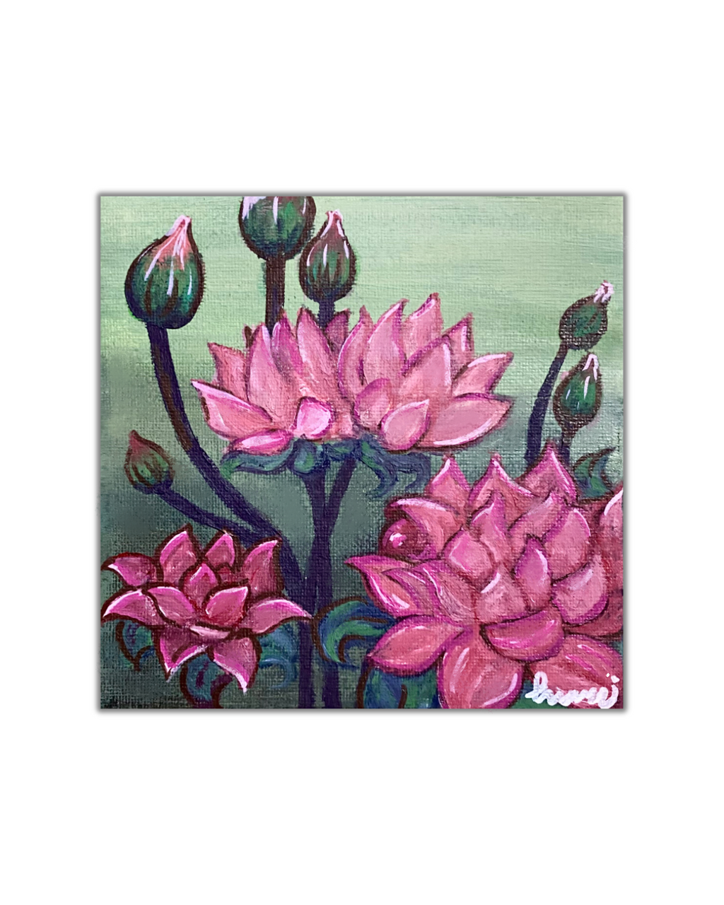 Lotus