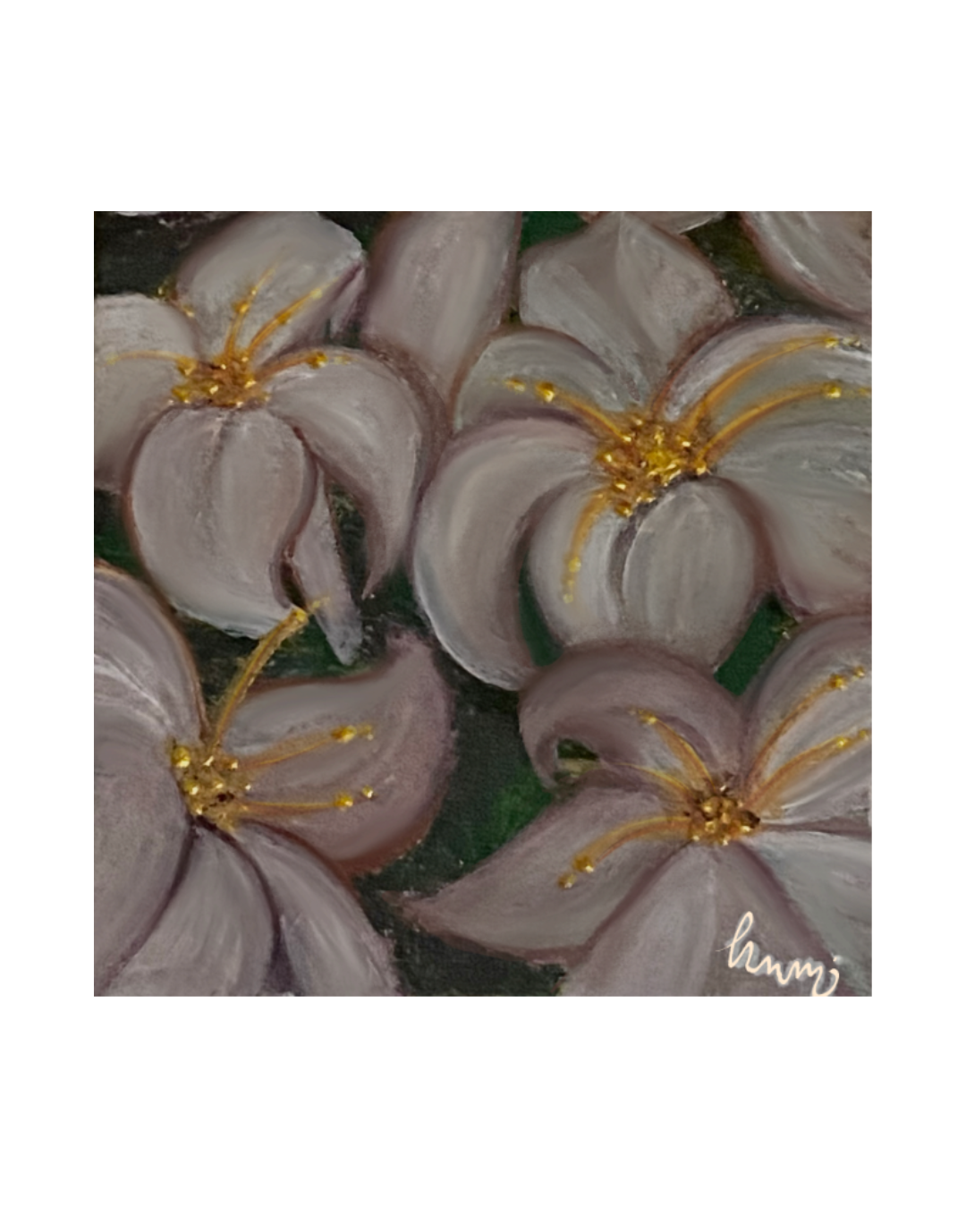 Lillies