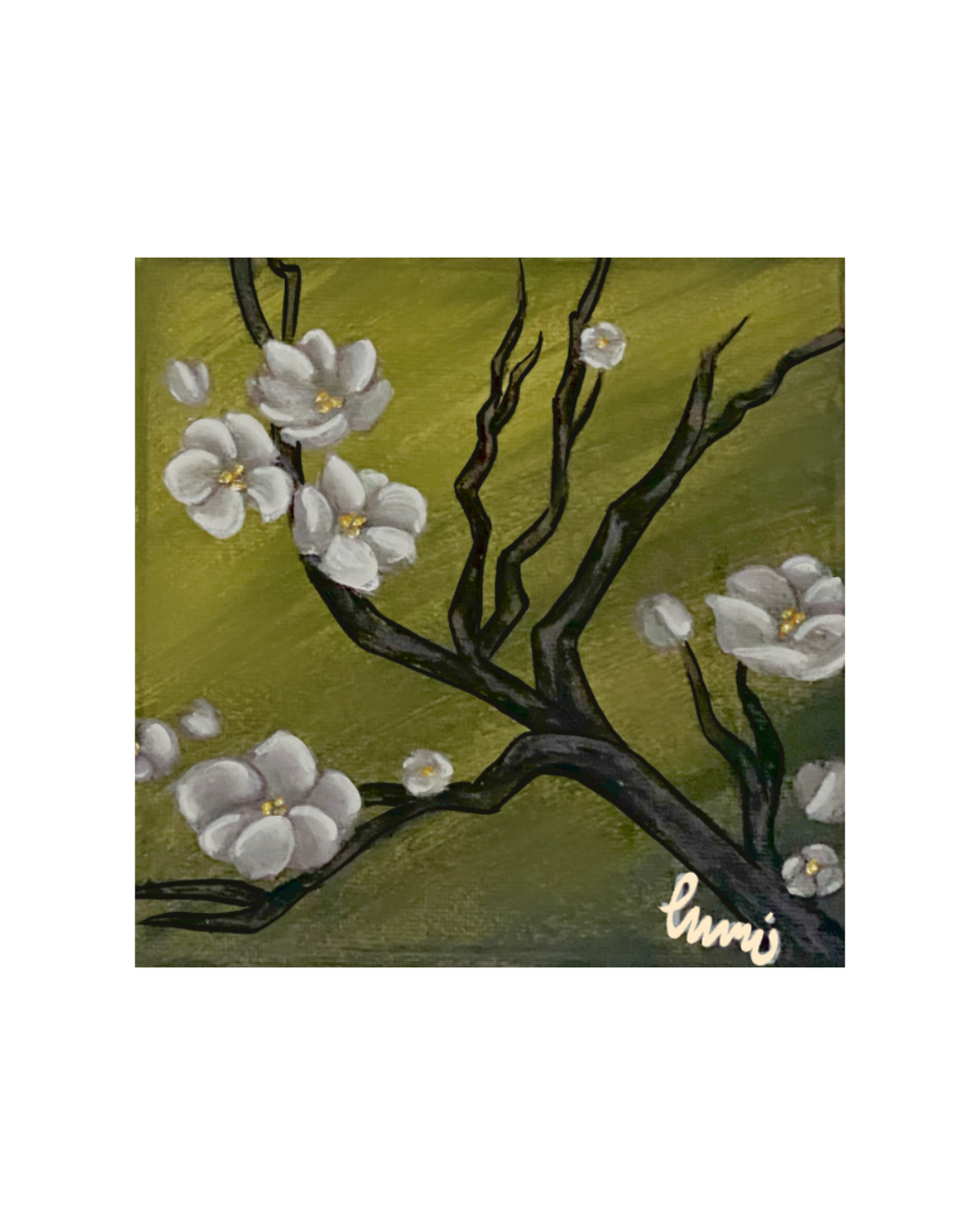 Magnolia