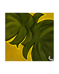 Monstera